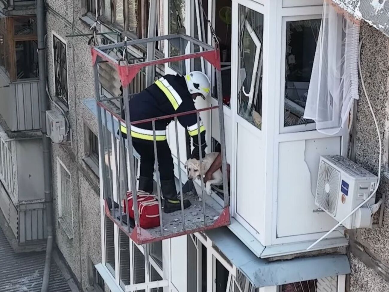 Наляканий пес не хотів виходити із квартири