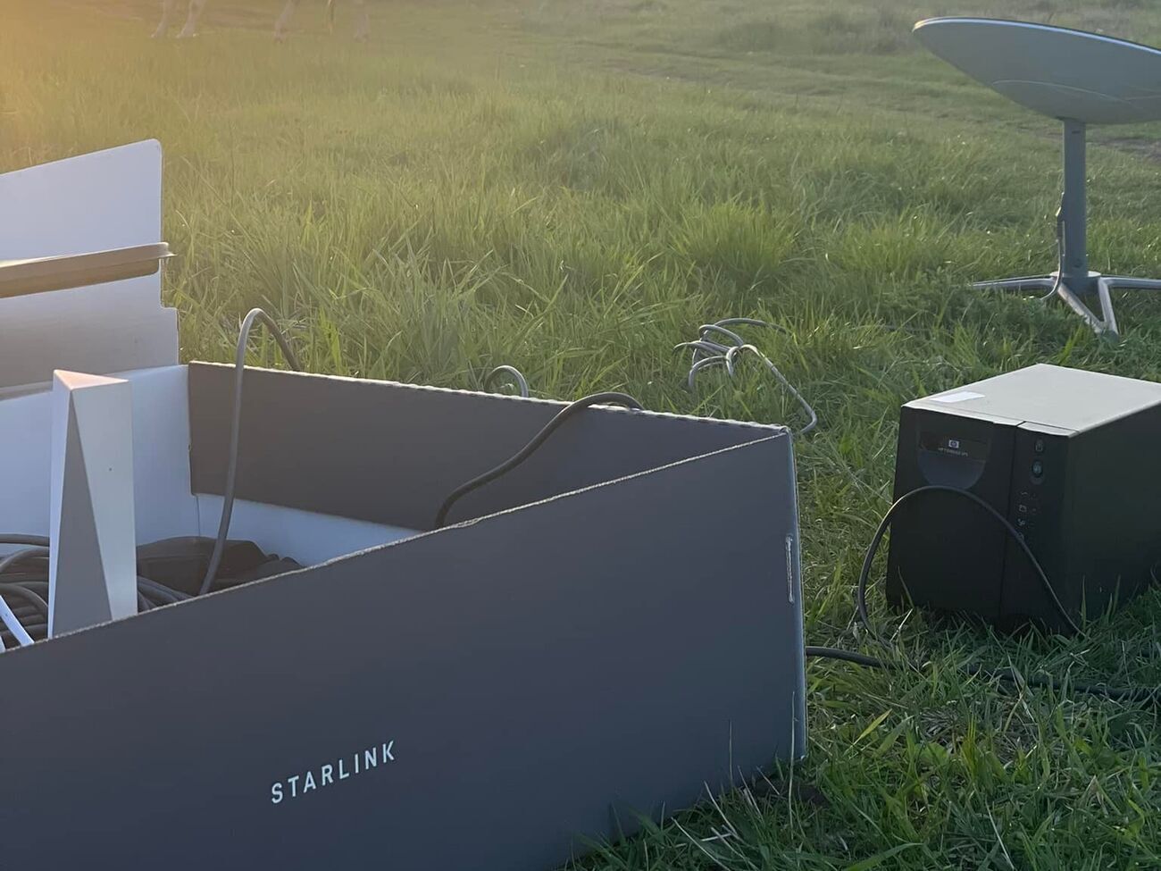 Устаткування Starlink надають Україні безплатно &ndash; Щиголь