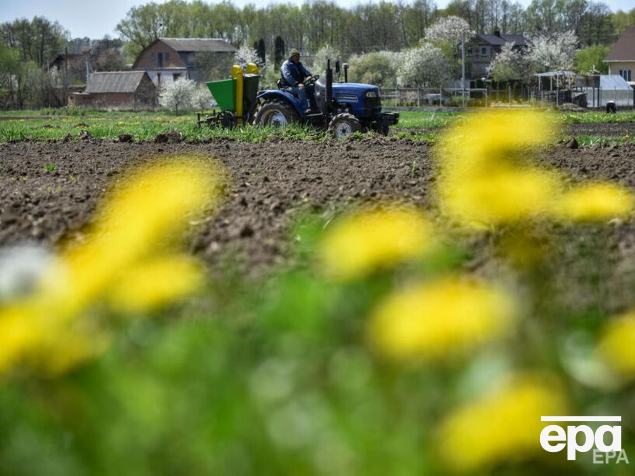 В Україні 13 областей уже перестали сіяти яру пшеницю