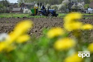 В Україні 13 областей уже перестали сіяти яру пшеницю
