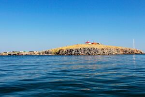 Острів Зміїний у Чорному морі тимчасово захопили російські окупанти