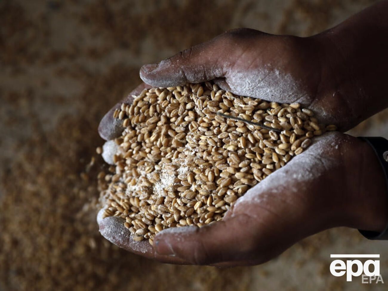 NYT: В Африке уже испытывают острую нехватку продовольствия