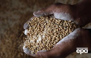 NYT: В Африке уже испытывают острую нехватку продовольствия