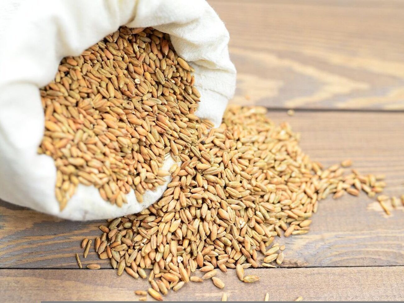 В обмін на деблокаду українських портів у Росії вимагають скасування санкцій