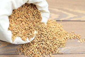 В обмен на деблокаду украинских портов в России требуют отмены санкций