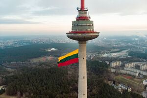 Автор законопроекта хочет урегулировать отношения с Литвой "с учетом международного права, а не по понятиям", а также повысить имидж России