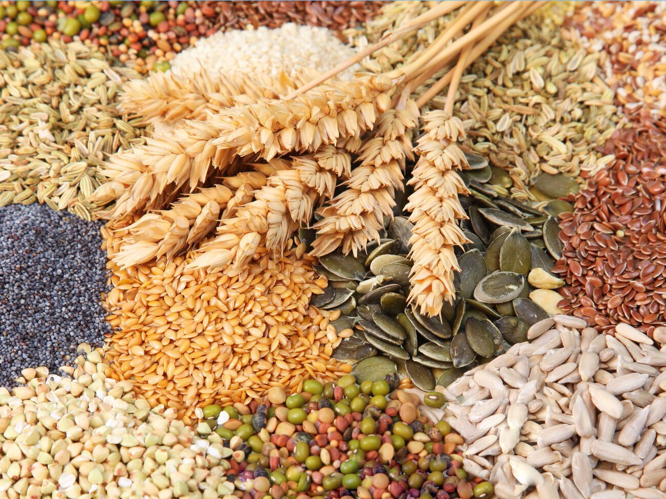 Росія й надалі краде українську продукцію, повідомила Всеукраїнська аграрна рада