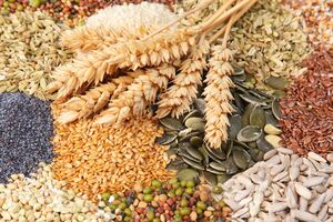 Росія й надалі краде українську продукцію, повідомила Всеукраїнська аграрна рада