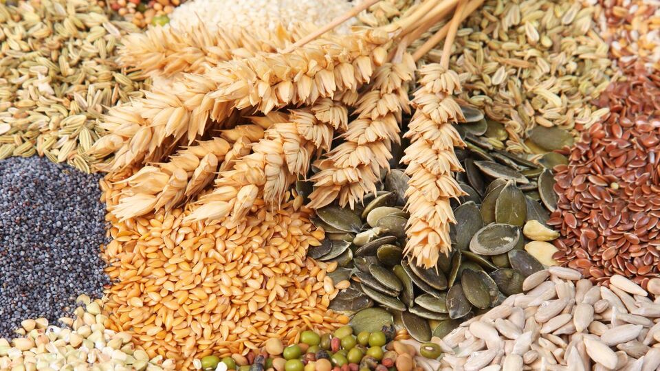 Россия продолжает воровать украинскую продукцию, сообщил Всеукраинский аграрный совет