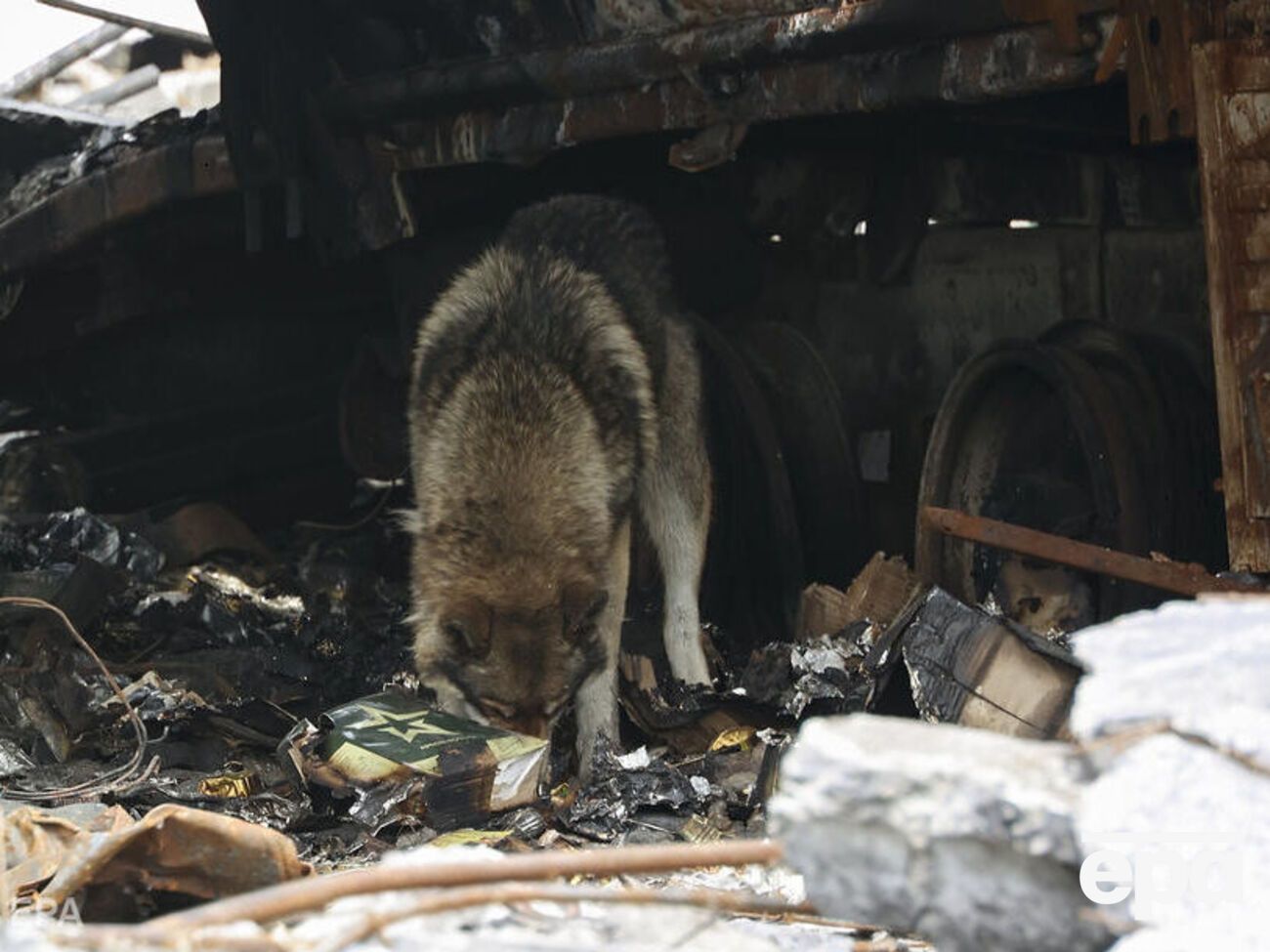 Втрати окупантів унаслідок завданого ЗСУ вогневого ураження в районі Долини уточнюють, зазначили в Генштабі
