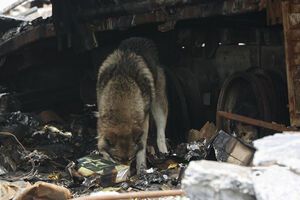 Потери оккупантов в результате нанесенного ВСУ огневого поражения в районе Долины уточняются, отметили в Генштабе