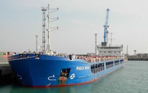 Генпрокуратура Украины в письме в минюст Турции сообщила, что судно "Жибек Жолы" причастно к незаконному вывозу украинского зерна из Бердянска