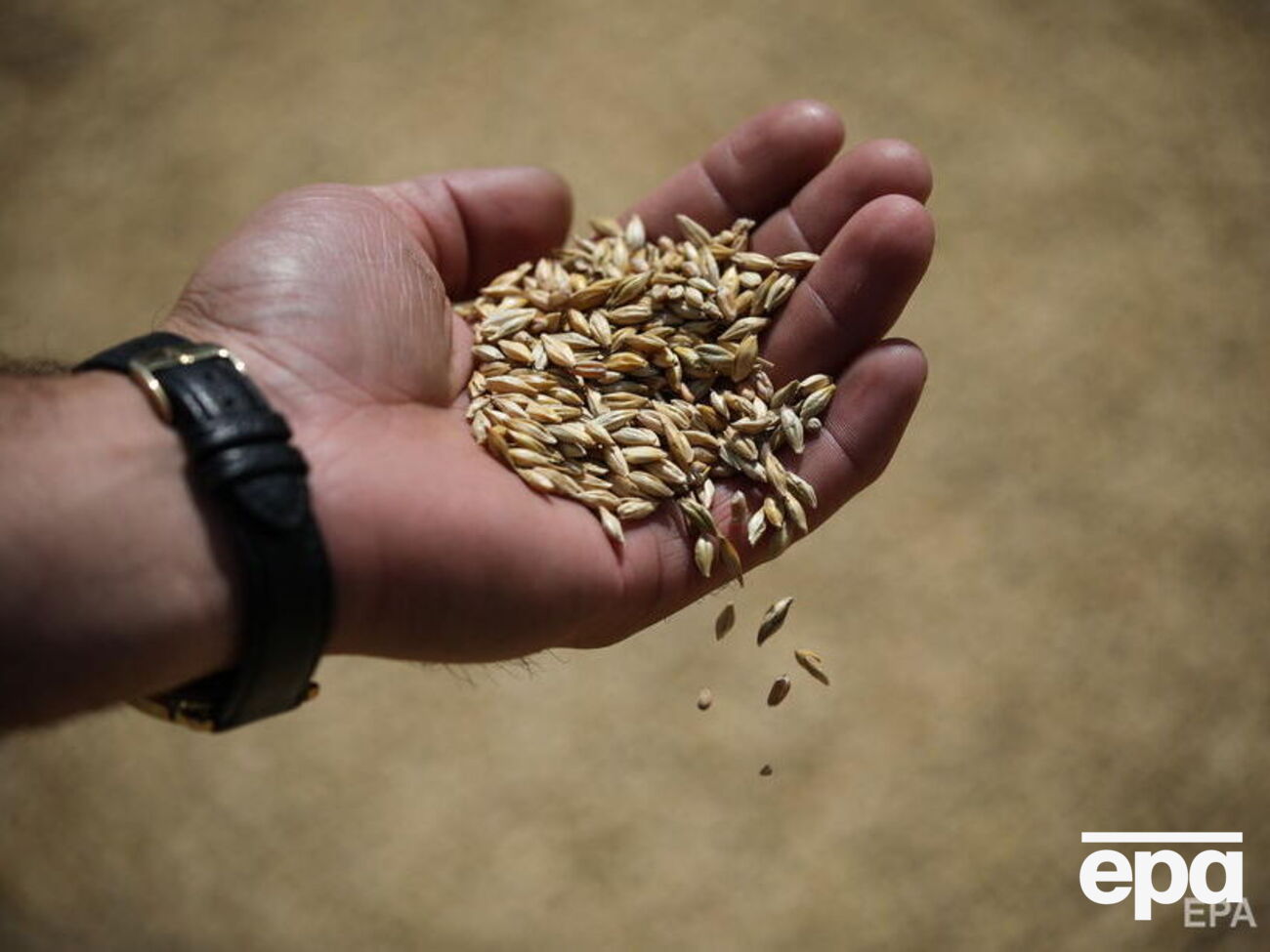 Украина не может экспортировать зерно, так как российские оккупационные войска блокируют порты в Черном море