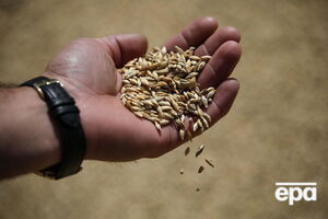 Украина не может экспортировать зерно, так как российские оккупационные войска блокируют порты в Черном море