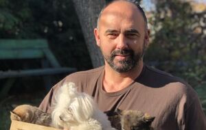 В 2022 году от COVID-19 умерло уже 900 тыс. человек. Глобальные прививки не создают коллективный иммунитет