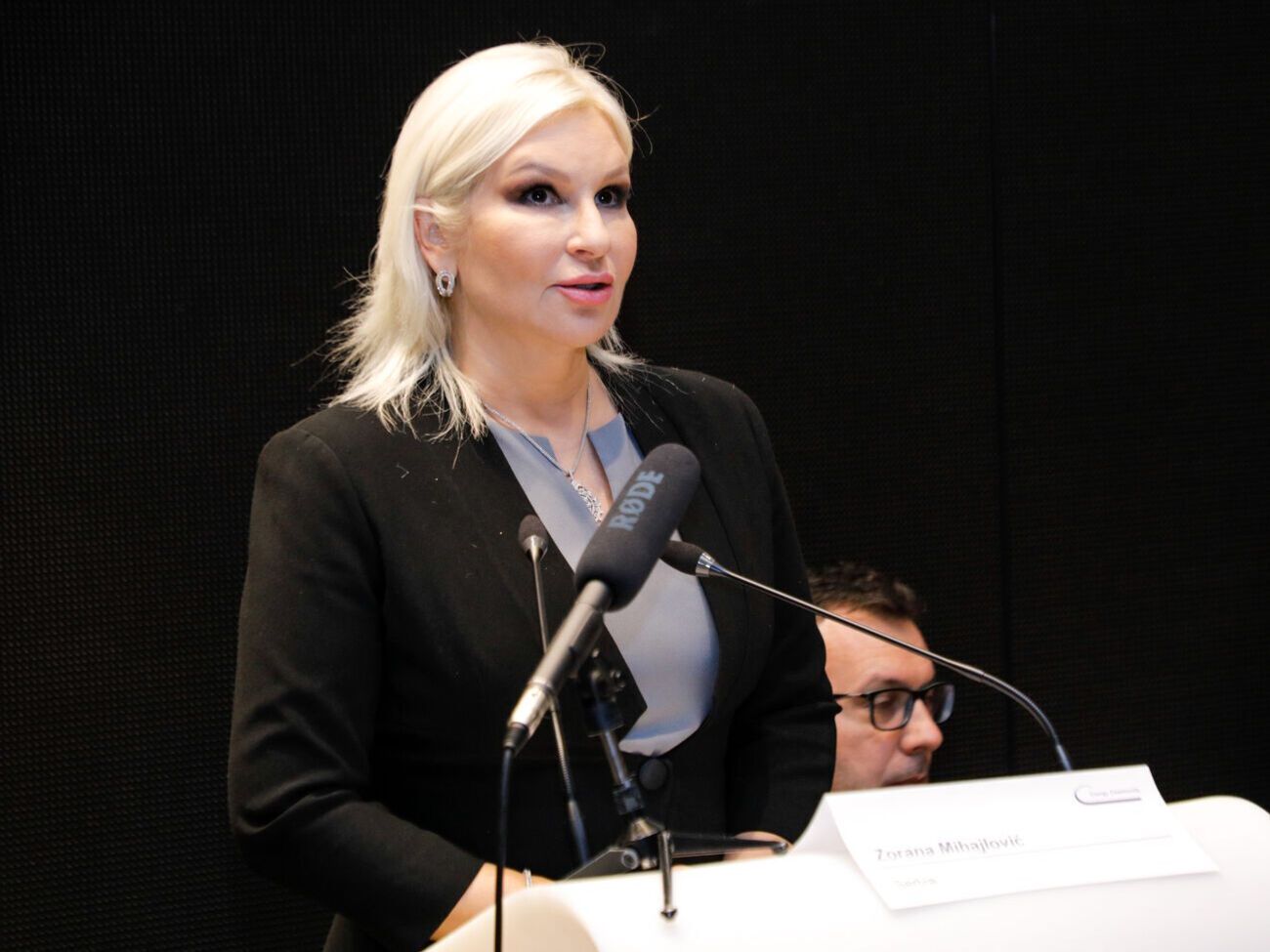 Михайлович&nbsp;заявила, что&nbsp;интерконнектор является "самым важным из того, что Сербия делает в настоящее время"