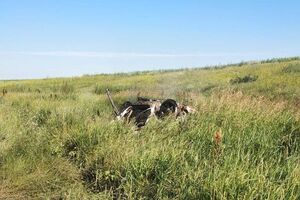Постраждалого чоловіка госпіталізовано з тяжкими травмами, переломами та опіками