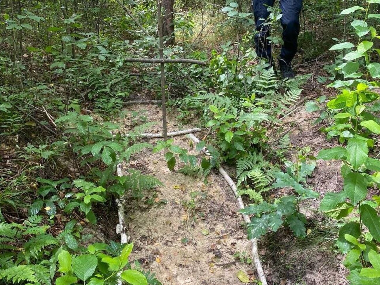 Могилу виявили у лісі неподалік села Здвижівка