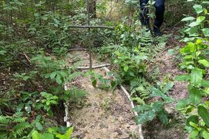 Могилу виявили у лісі неподалік села Здвижівка