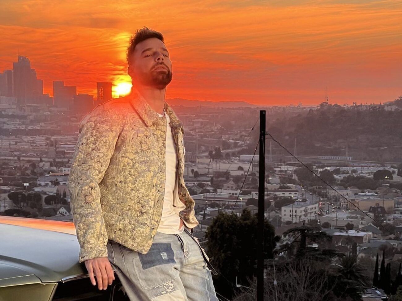 Рікі Мартін перебуває у шлюбі зі шведсько-сирійським художником Джваном Йосефом