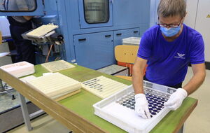 НБУ випустив монети номіналом 5 грн та 10 грн, присвячені пісні "Ой, у лузі червона калина"