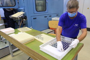 НБУ выпустил монеты номиналом 5 грн и 10 грн, посвященные песне "Ой, у лузі червона калина"