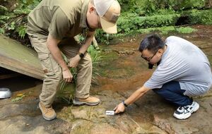 В Китае нашли следы двух зауроподов