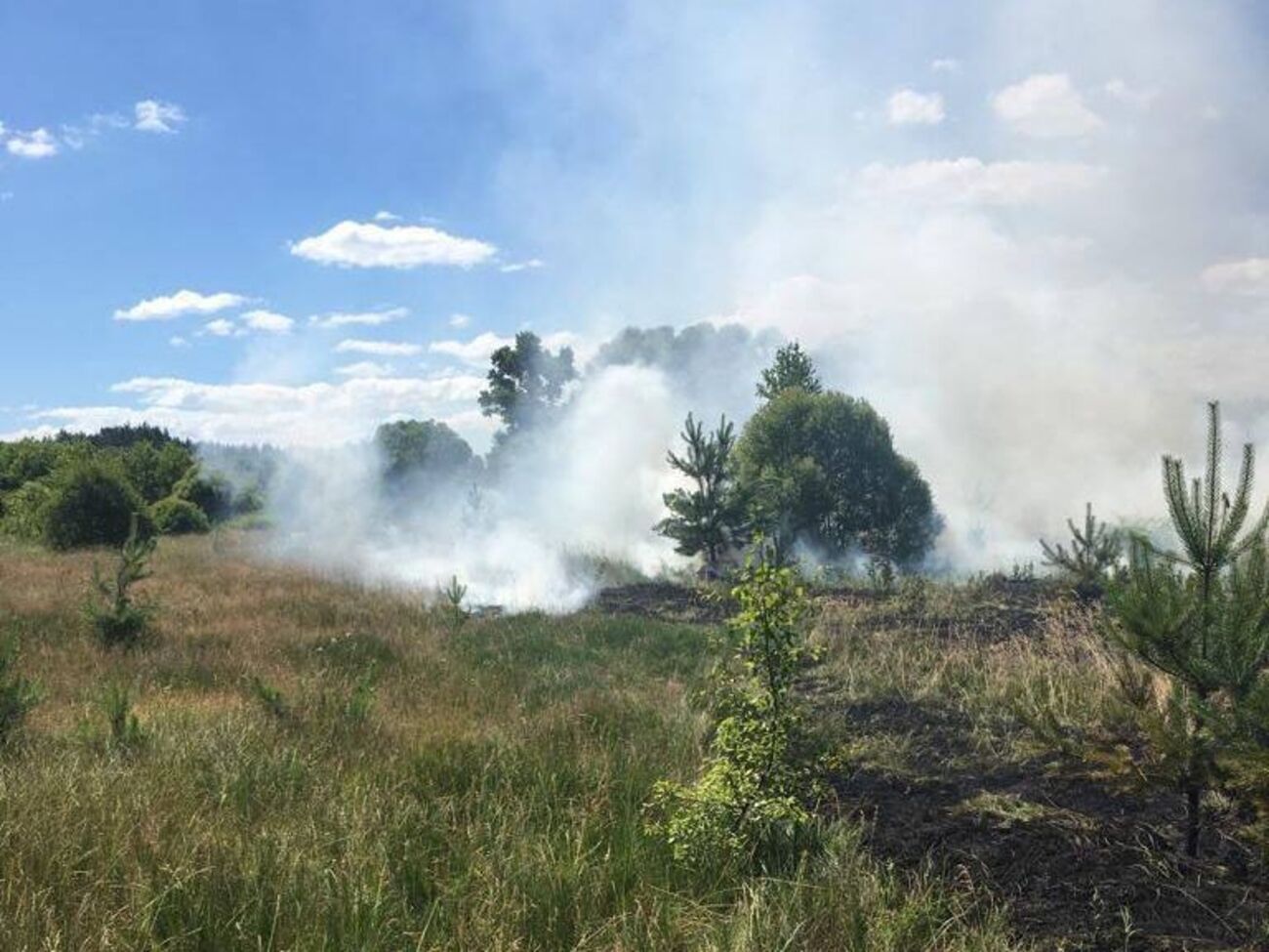 Жертв и разрушений в результате обстрелов российских оккупантов 2 июля нет, отметил глава Сумской ОВА