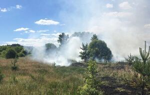 Жертв и разрушений в результате обстрелов российских оккупантов 2 июля нет, отметил глава Сумской ОВА