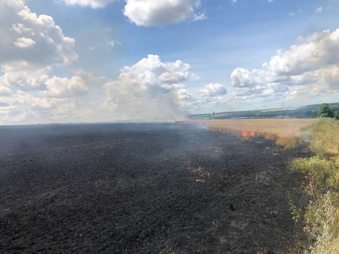 Окупанти знищують урожай в Україні, зазначили у ГУ ДСНС у Харківській області