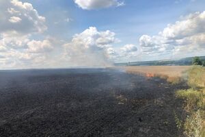 Окупанти знищують урожай в Україні, зазначили у ГУ ДСНС у Харківській області
