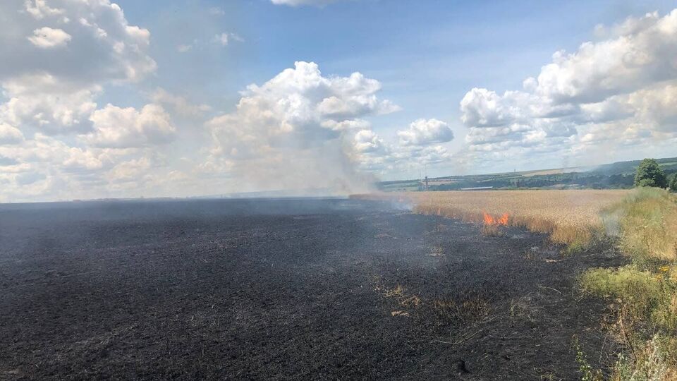 Оккупанты уничтожают урожай в Украине, отметили в ГУ ГСЧС в Харьковской области