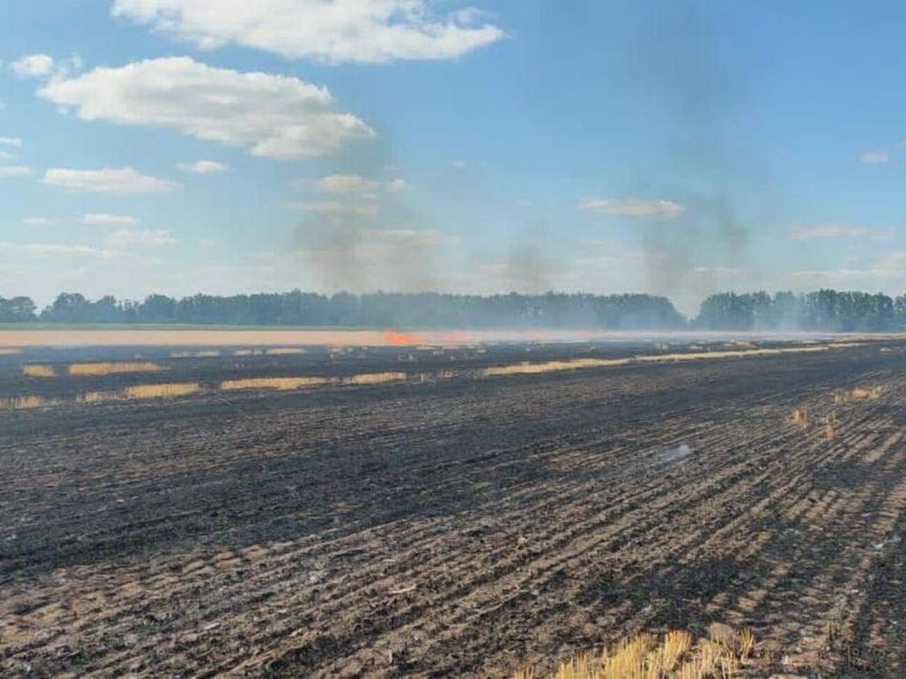 Унаслідок ворожого обстрілу за межами Великої Костромки зайнялося поле пшениці, зазначив голова Дніпропетровської облради
