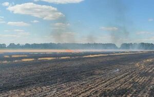 Унаслідок ворожого обстрілу за межами Великої Костромки зайнялося поле пшениці, зазначив голова Дніпропетровської облради