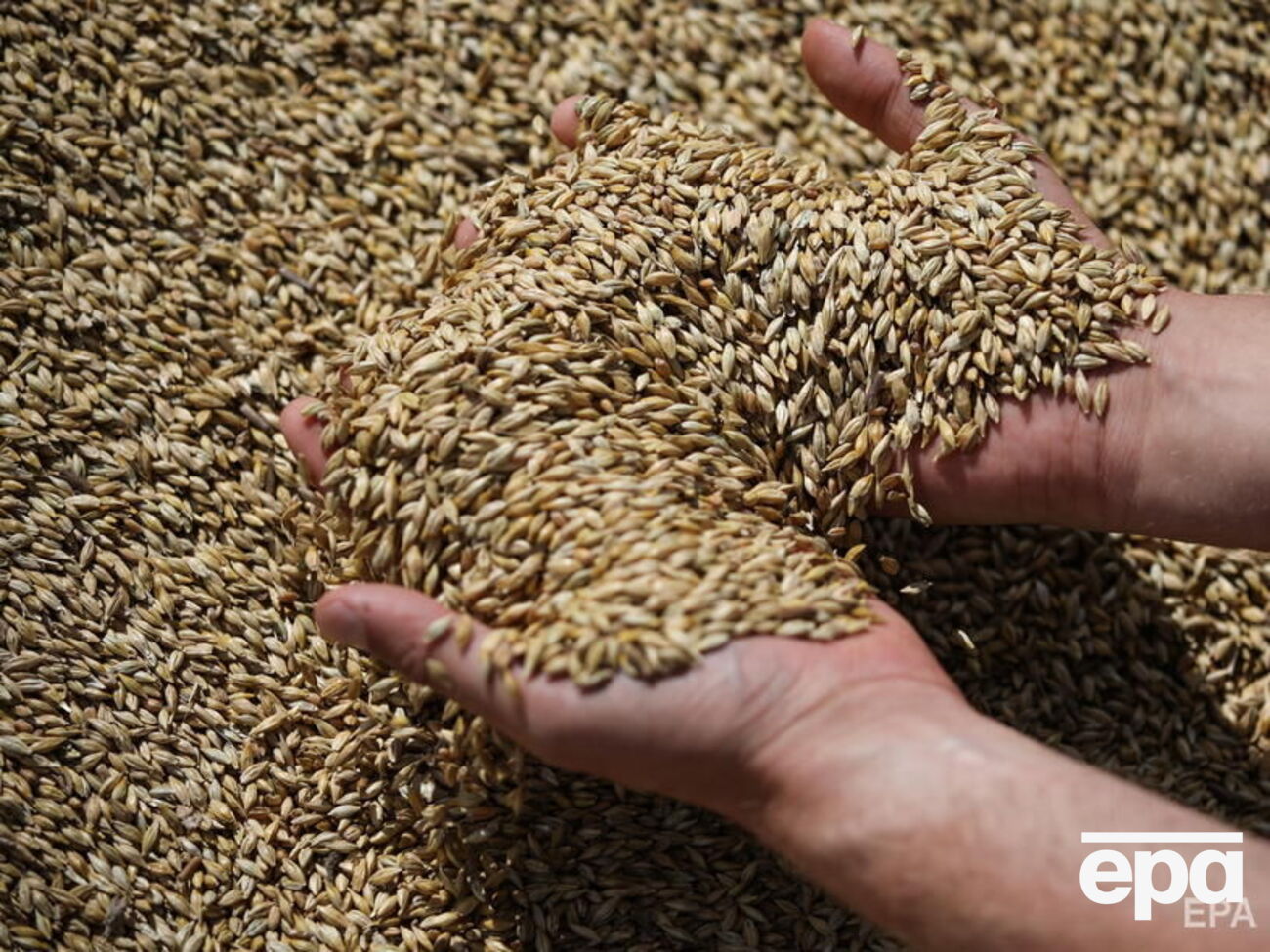 Россия обещает не нападать на корабли с зерном