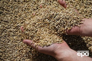 Росія обіцяє не нападати на кораблі із зерном