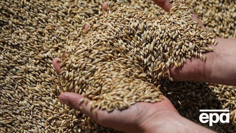 Россия обещает не нападать на корабли с зерном