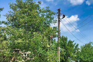 Энергетики смогли вернуть свет в дома почти 800 семей в семи населенных пунктах Бахмутского и Покровского районов