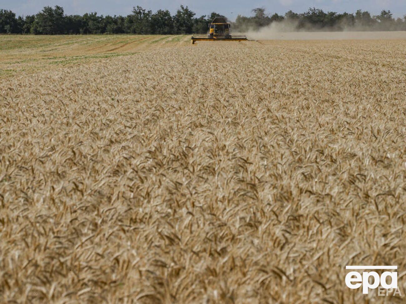 Из-за действий оккупантов агрокомпании не могут выплатить аренду владельцам земельных паев, сообщили в ОВА