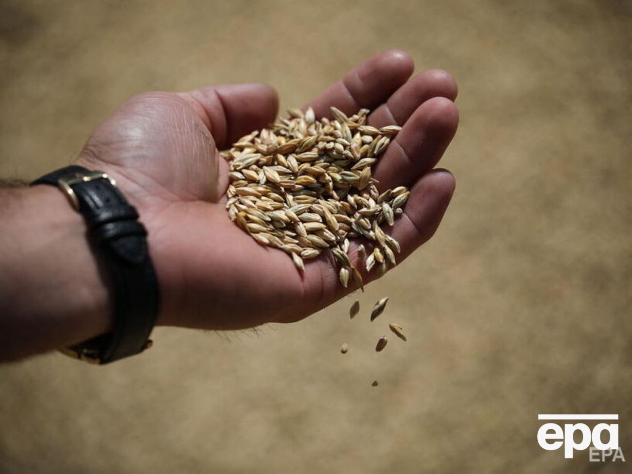 Угоди, які мають дозволити розблокувати експорт українського зерна, підписали 22 липня