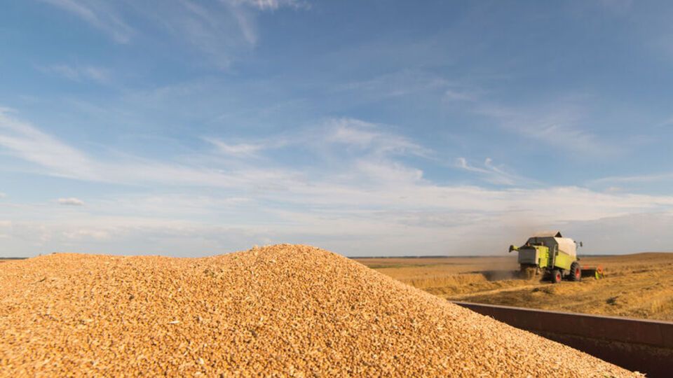 Сольський уточнив, що кошти від продажу зерна необхідні фермерам, щоб вони могли вчасно розпочати посівну кампанію наступного року