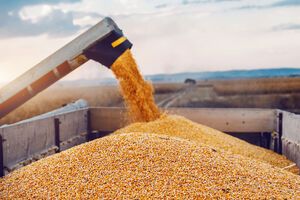 Сольський нагадав, що після підписання угоди 22 липня ціни на зерно на біржі впали на $3–4