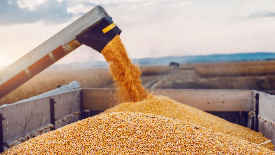 Сольський нагадав, що після підписання угоди 22 липня ціни на зерно на біржі впали на $3–4