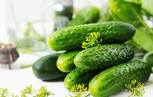 На літрову банку знадобиться 400 г огірків