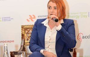 Людмила Буймістер: Виживання та подальший розвиток "зеленої" енергетики – це не питання грошей, а запорука національної безпеки