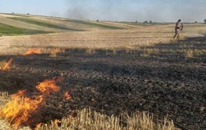 В ГСЧС просят не заниматься поджогами сухой травы