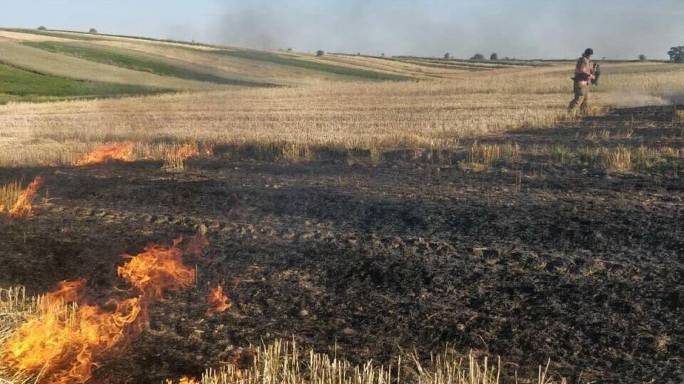 У ДСНС просять не підпалювати суху траву