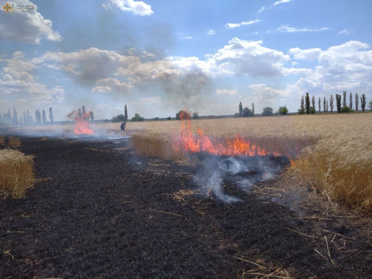Через російські обстріли зайнялося поле