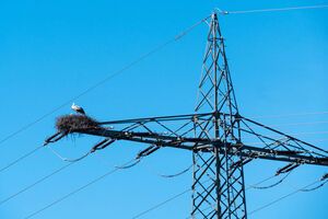 Експорт української електроенергії в синхронізованій із континентальною Європою енергомережі відбувається стабільно, зазначили в "Укренерго"
