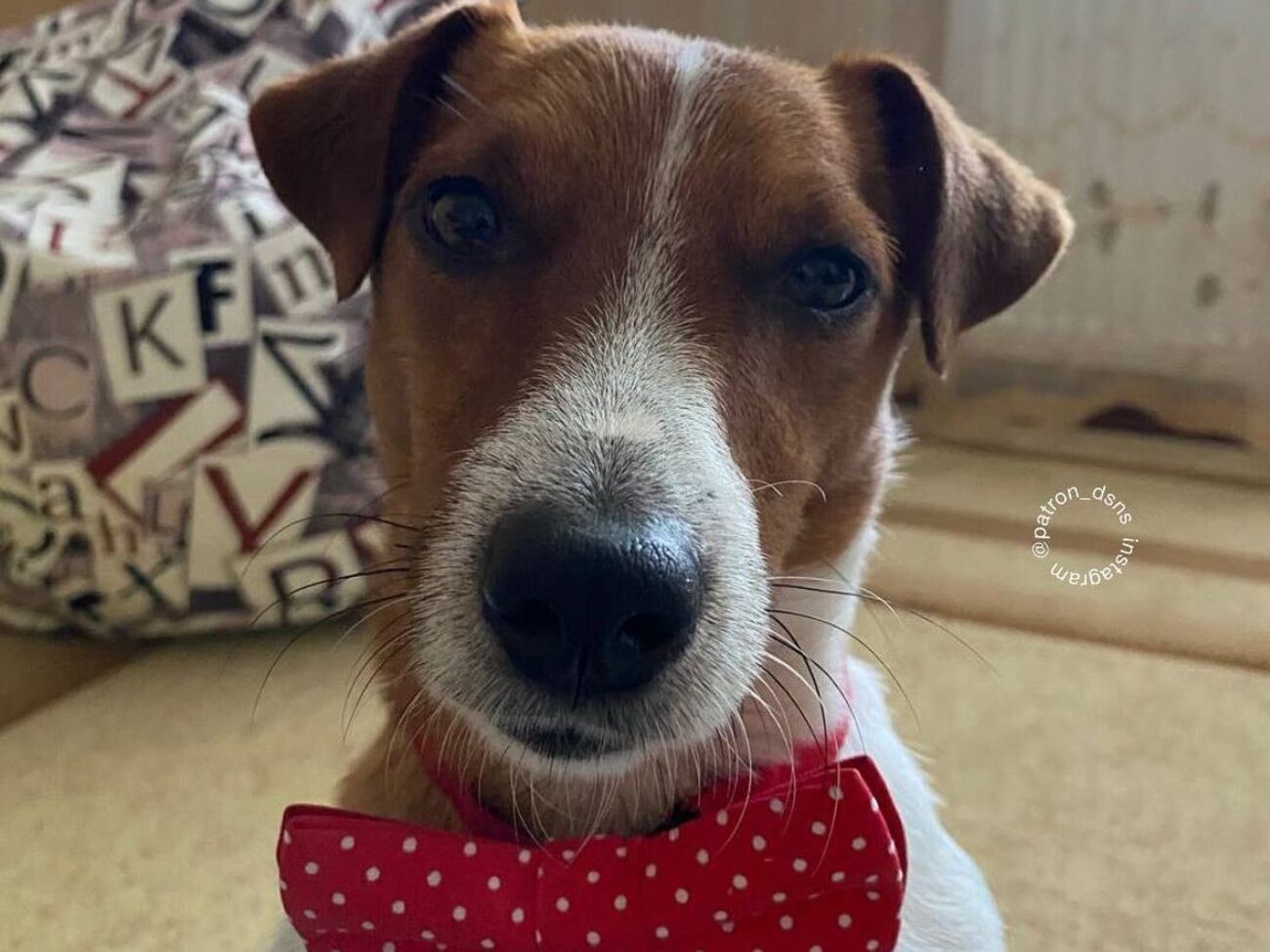 Патрон:&nbsp;Меня никто не обижал. Ну, разве что производители ковриков с моим изображением